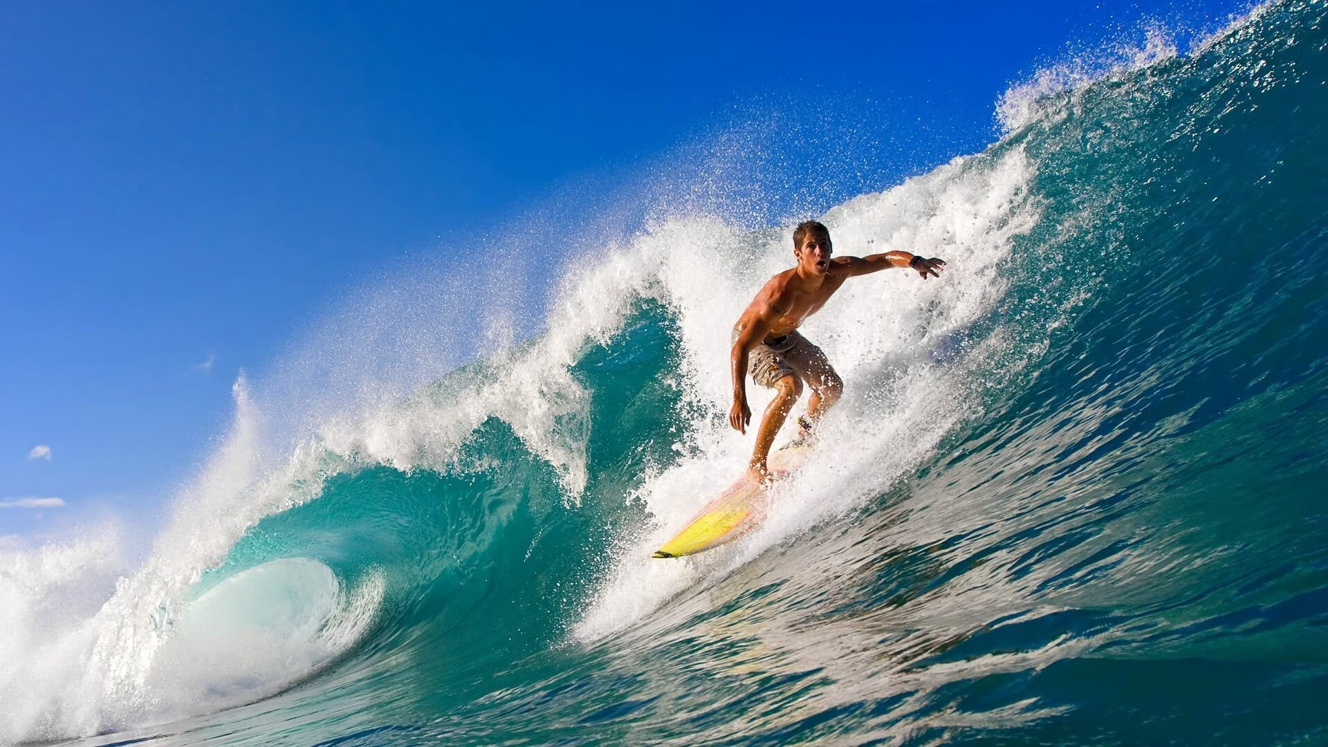 开云体育全站-“湾区杯”象棋大棋士赛期间举办象棋文化主题讲座
